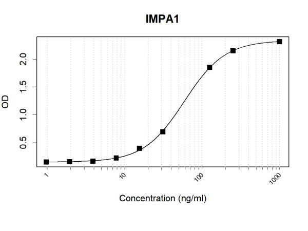 Anti-Human IMPA1 Antibody Pair