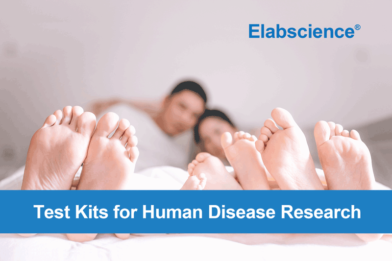Elabscience Test Kits for Human Disease Research