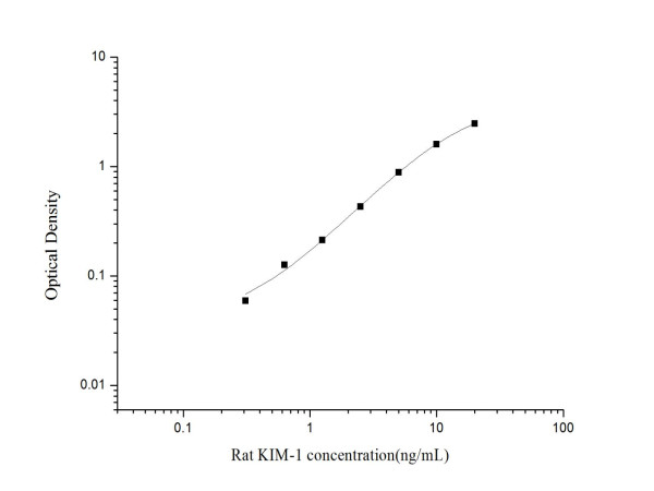 Anti-TIM-1/KIM-1/HAVCR (Detector), clone 4G8