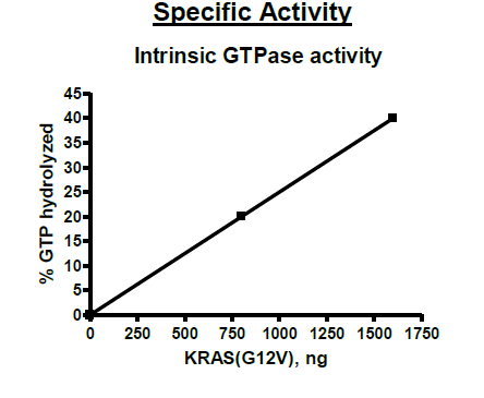 B KRAS (G12V), Isoform B, His-Tag
