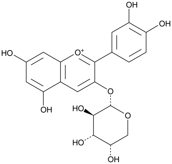 Cyanidin 3-O-arabinoside