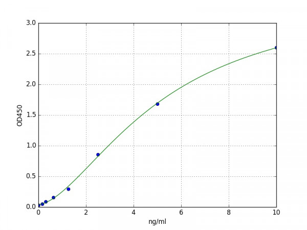 Human MYH10 / Myosin Heavy Chain 10 ELISA Kit
