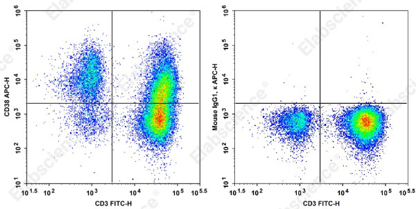 Anti-CD38 Antibody[HB-7]