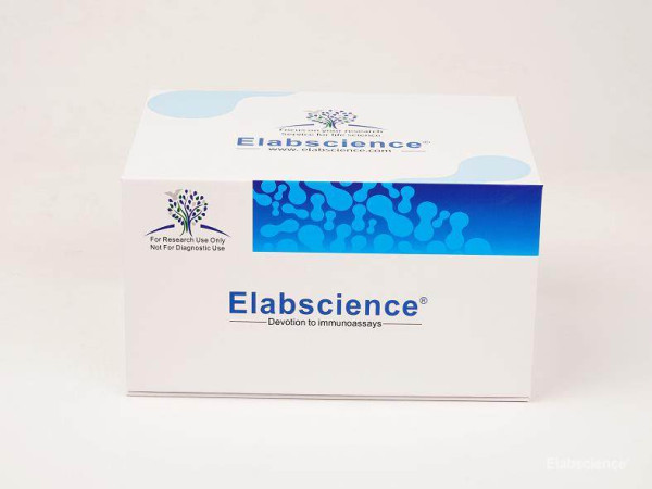 Ancillary Reagent Kit
