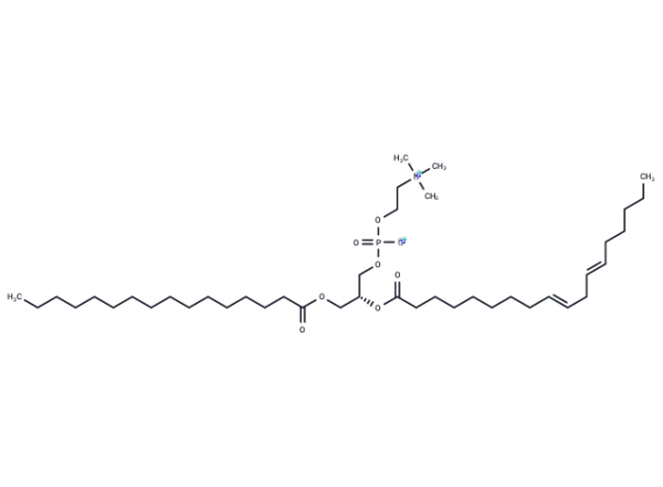 Lecithin