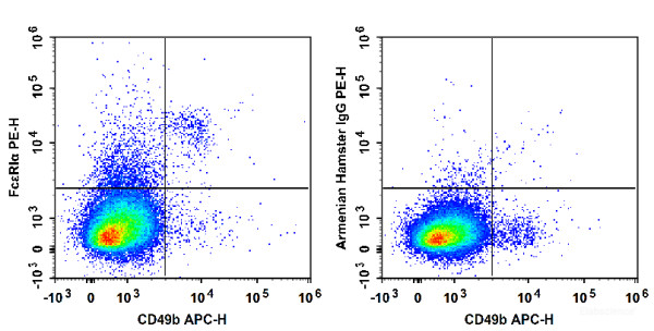 Anti-Mouse FcepsilonRIalpha (PE Conjugated)[MAR-1], clone MAR-1