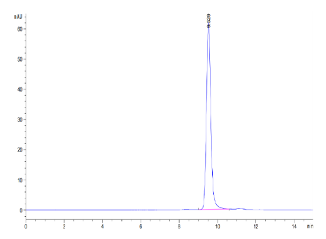 YKL-40/CHI3L1, His, Mouse