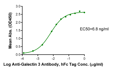 Galectin 3, His, Human
