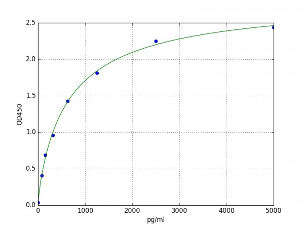 Human CD239 / BCAM ELISA Kit