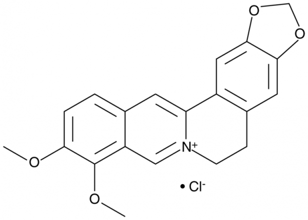 Berberine (chloride)