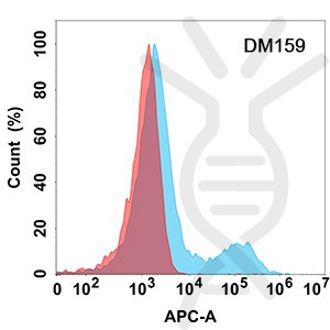 Anti-NTB-A antibody(DM159), Rabbit mAb
