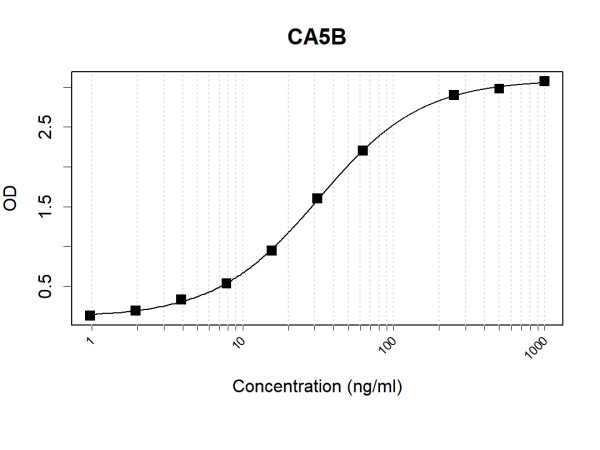 Anti-Human CA5B Antibody Pair