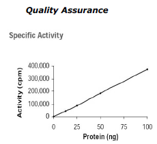 FGFR1, active human recombinant protein