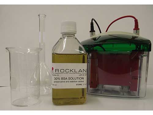 BOVINE SERUM ALBUMIN 30% Solution