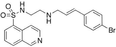 Protein Kinase Inhibitor H-89 (PKI) (N-(2-p-bromocinnamylaminoethyl]-5-isoquinolinesulfonamide)