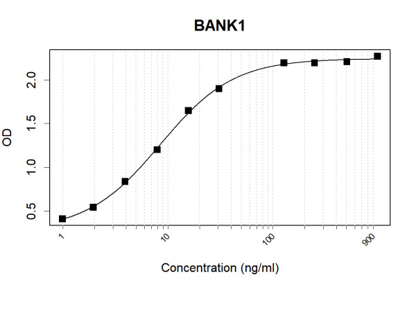 Anti-Human BANK1 Antibody Pair