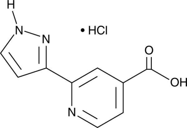 2-(1H-Pyrazol-3-yl)pyridine-4-carboxylic Acid (hydrochloride)