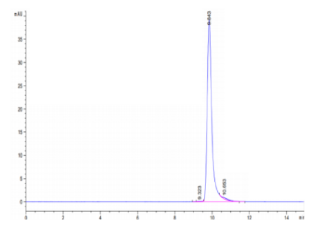 Sonic Hedgehog (Shh), Human