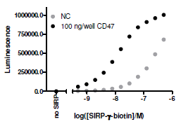 CD47:SIRP-gamma[Biotinylated] Inhibitor Screening Assay Kit