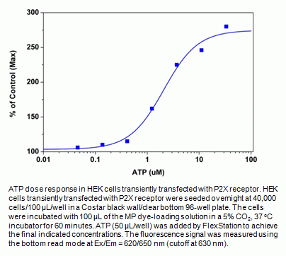Screen Quest(TM) Membrane Potential Assay Kit *Red Fluorescence*