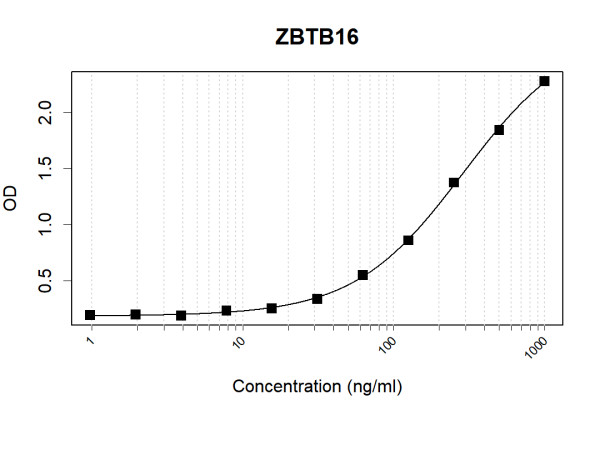 Anti-Human ZBTB16 Antibody Pair