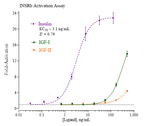 INSRb Reporter Assay System (human)