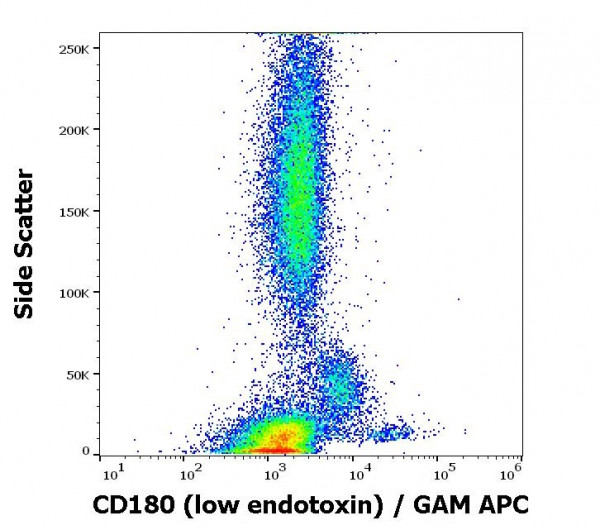Anti-CD180 / RP105 (low endotoxin), clone G28-8
