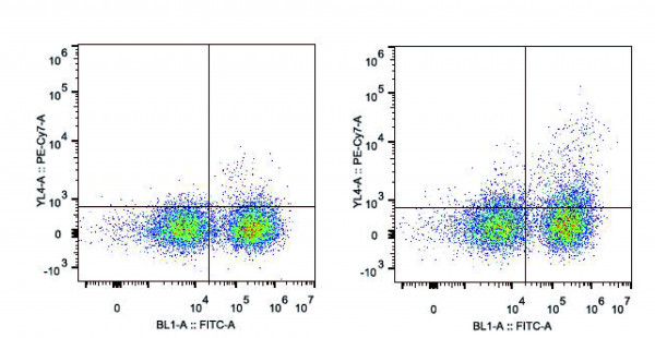PE/Cyanine7 Anti-Mouse CD11c Antibody [N418]