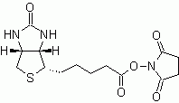 Biotin, succinimidyl ester