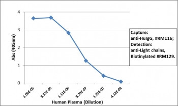 Anti-IgG Heavy Chain, clone RM116