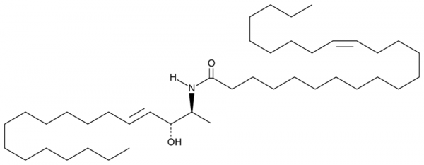 C24:1 1-Deoxyceramide (m18:1/24:1(15Z))
