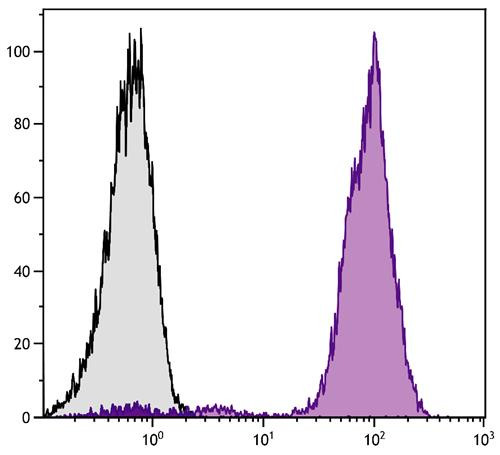 Anti-CD44 (PE), clone AV6