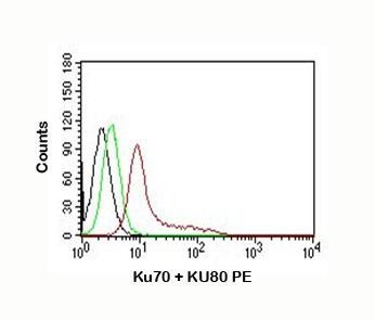Anti-Ku70 + Ku80 PE Conjugate, clone KU729