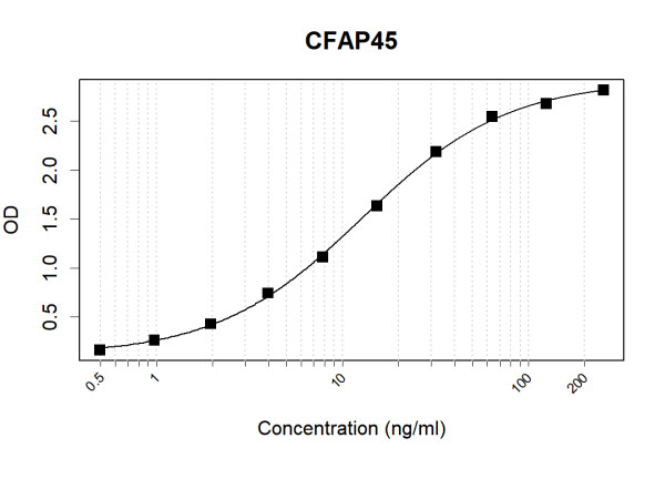 Anti-Human CFAP45 Antibody Pair