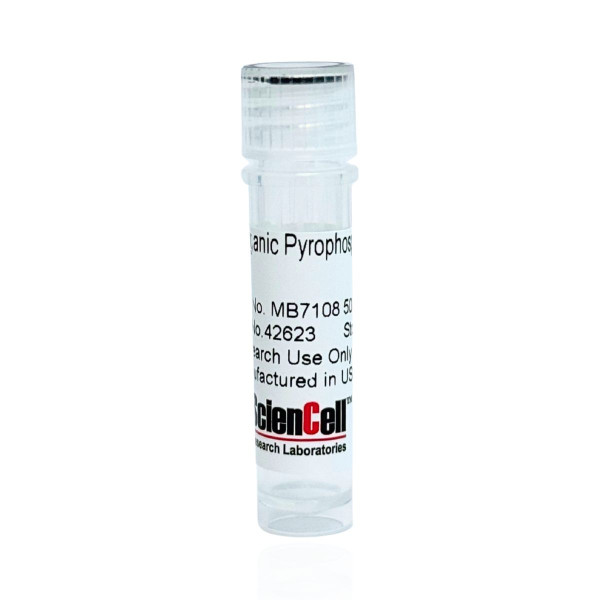 Inorganic Pyrophosphatase (Yeast)