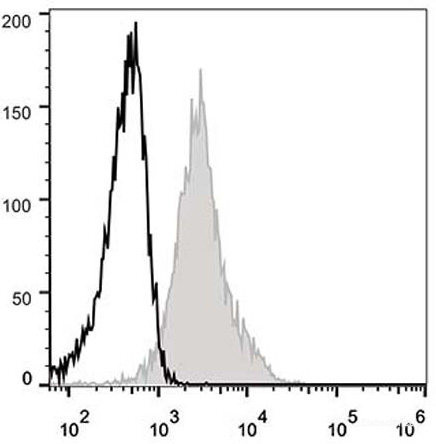 Anti-Mouse CD54 (AF488 Conjugated)[YN1/1.7.4], clone YN1/1.7.4