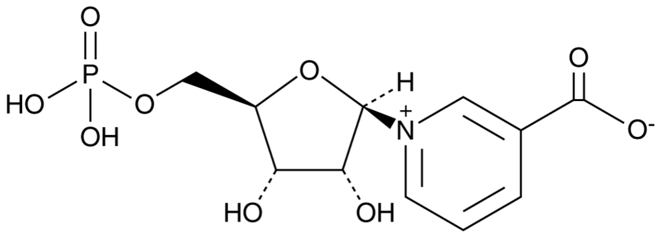 acid nicotinic pentru prostatită