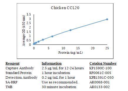Anti-CCL20 (chicken)