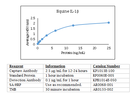 Anti-IL-1 (equine) beta, Biotin conjugated