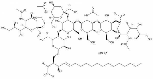Ganglioside GT1b (bovine) (ammonium salt)
