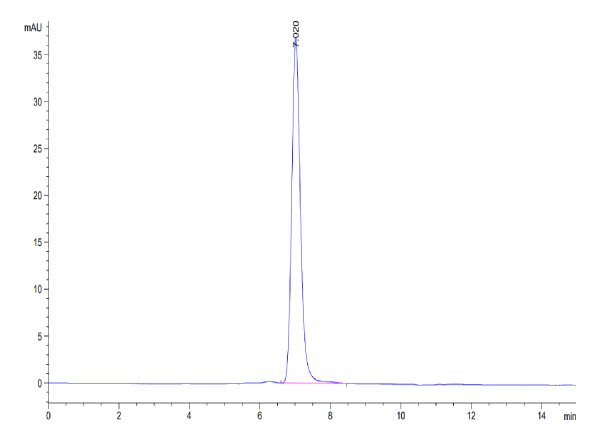 Human PTK7/CCK4 Protein