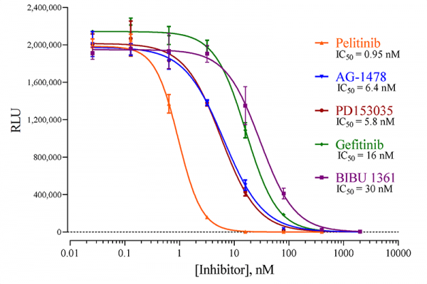 Epidermal Growth Factor Receptor 1 (EGFR1) (Human) Reporter Assay System