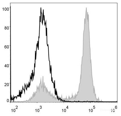 Anti-Mouse/Human CD11b (PerCP Conjugated)[M1/70], clone M1/70