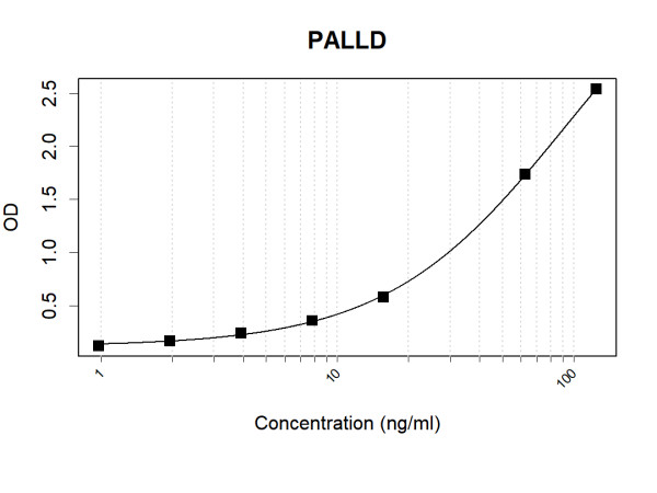 Anti-Human Palladin Antibody Pair
