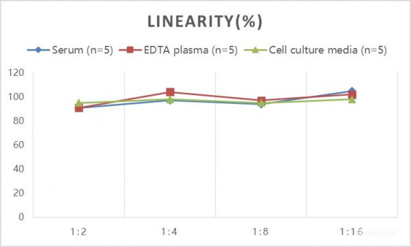 Human IgG3 (Immunoglobulin G3) ELISA Kit