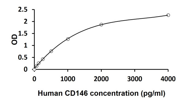 Human CD146 ELISA Kit
