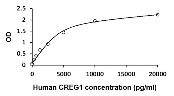 Human CREG1 ELISA Kit
