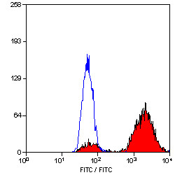 Anti-CD68, clone FA-11