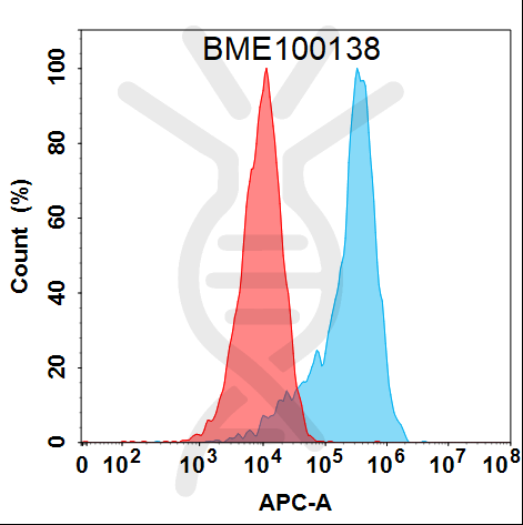Anti-TFRC(pabinafusp alfa biosimilar) mAb