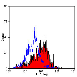 Anti-CD200R, clone OX-110